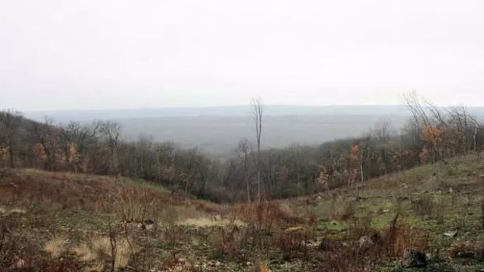 Defrişări