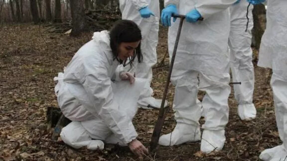 Ziua Internationala a Plantatiilor Forestiere