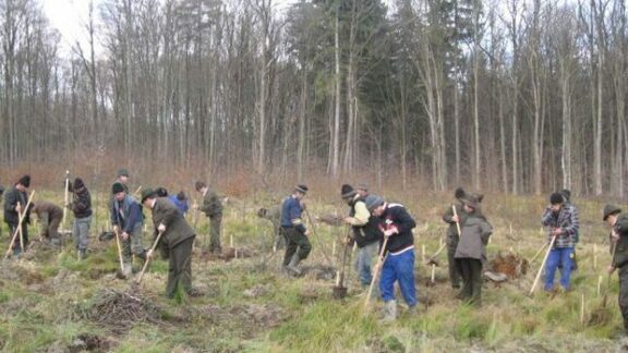 sivicultorii in procesul muncii