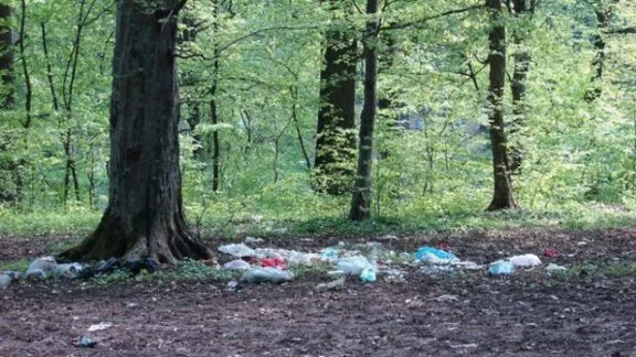pădure cu gunoaie