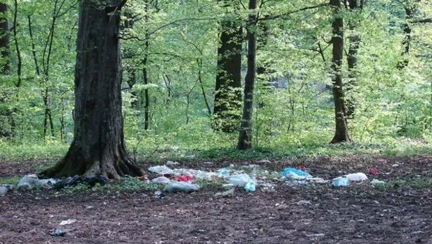 pădure cu gunoaie