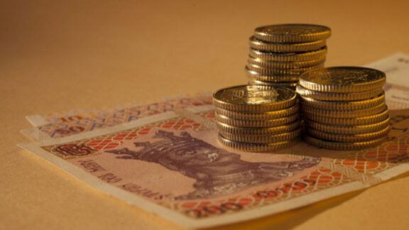 Lei moldovenești - bancnote și bănuți