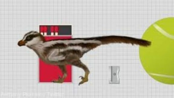 A fost descoperit cel mai mic dinozaur din lume