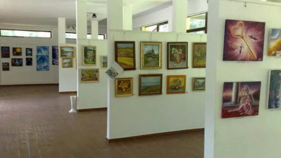 Expoziția Ana Baranovici