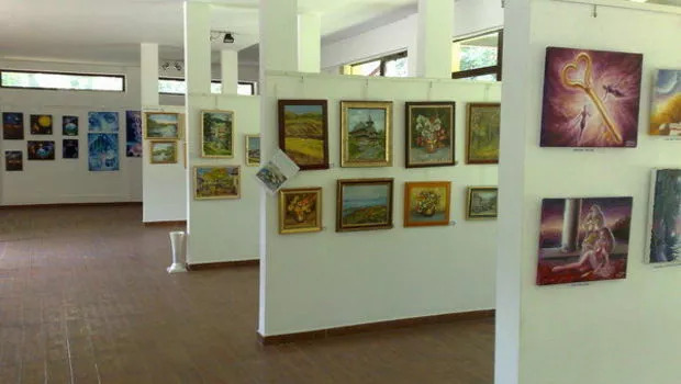 Expoziția Ana Baranovici
