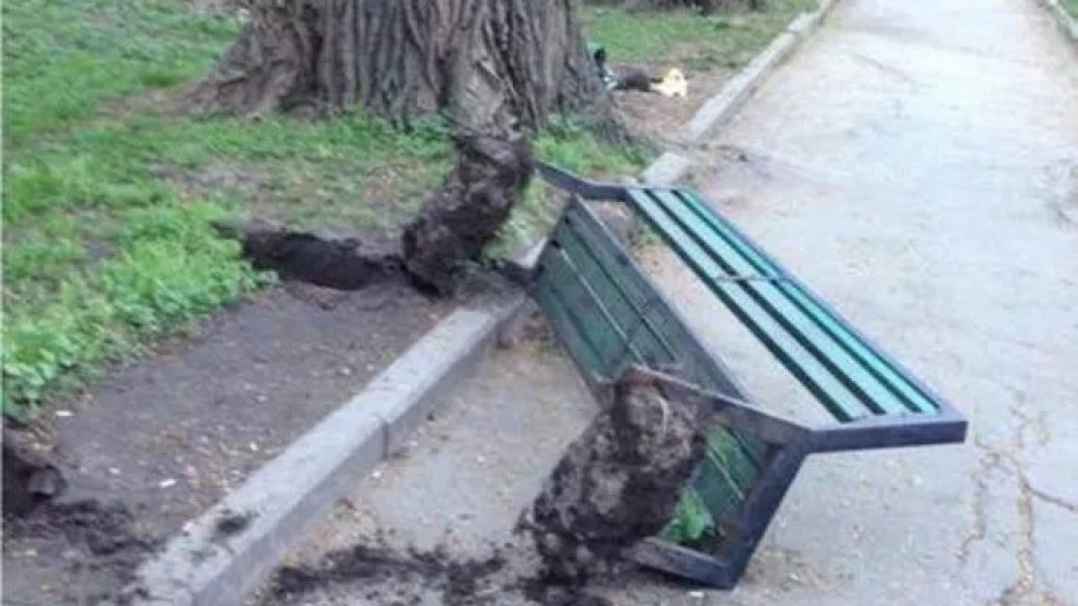 Bănci vandalizate