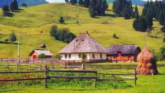 Afaceri mediul rural