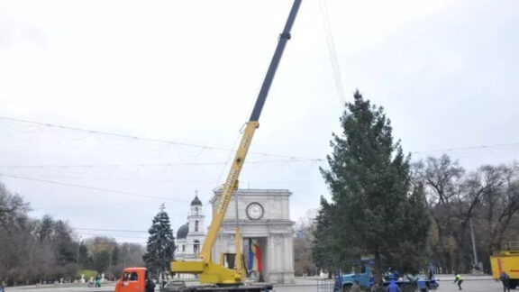 inaugurarea bradului