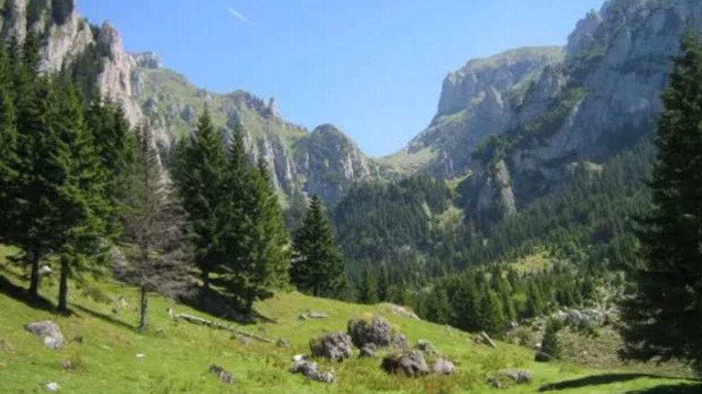 peisaje