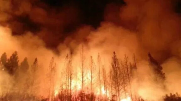 incendii în California