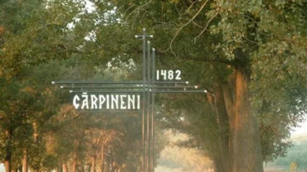 Cărpineni