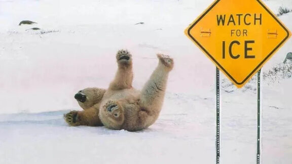 căzături pe gheata