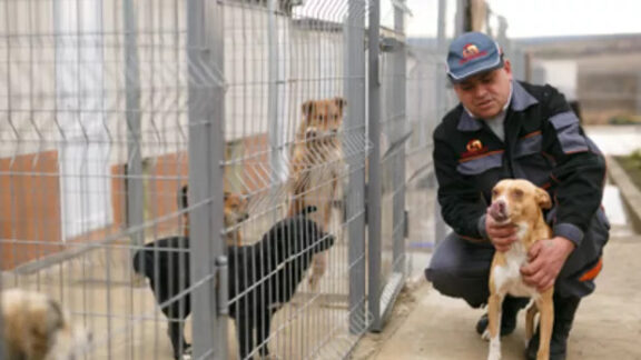 Centru de plasament pentru animale Orhei