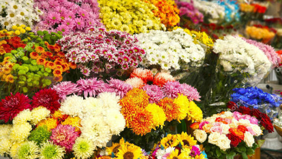 comercianții de florii