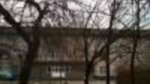 Dodon Avicola floreni accident straseni