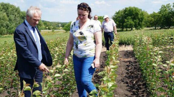 Experţi „Rossselhoznadzor” au venit din nou în Republica Moldova să „inspecteze”