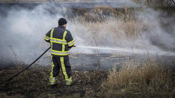 Focare de incendii de vegetație