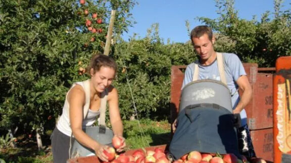 primul forum comercial