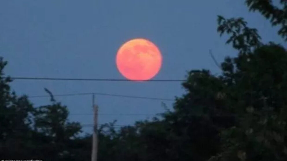luna de capsuna