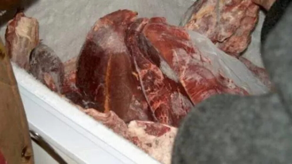 Carne