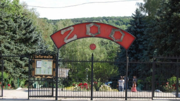 Grădinii Zoologice s-a mărit cu 50 de exemplare