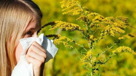 guvern republica moldova