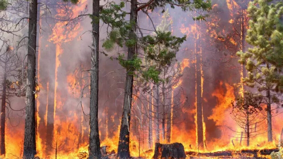 Incendii