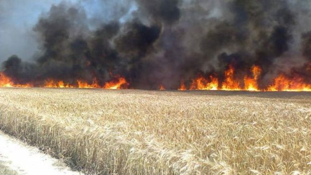 Incendiu lan de grâu