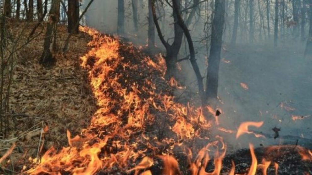 incendiu munți