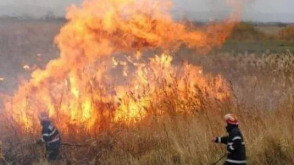Incendiu vegetatie