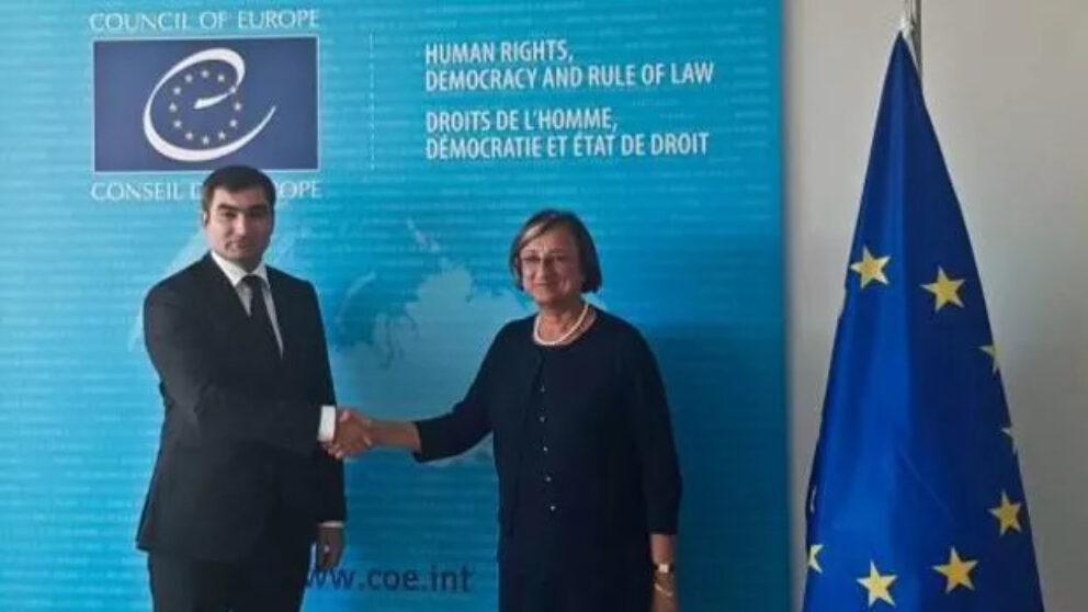 Viceministrul afacerilor externe şi integrării europene Lilian Darii