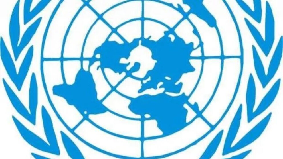 Logo ONU