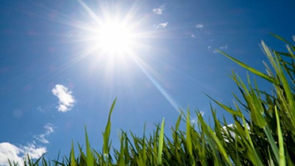 temperaturi de vara
