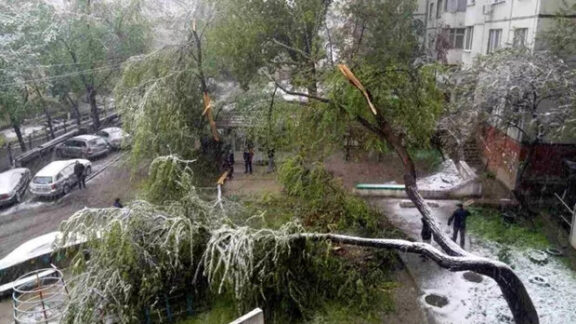 Ninsoare Chișinău aprilie