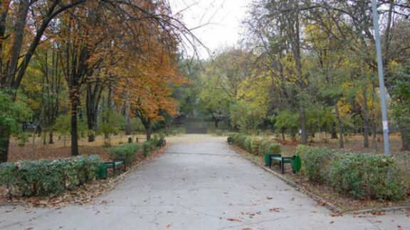 Parcul Alunelul