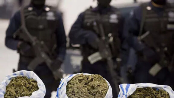 Traficanți de droguri