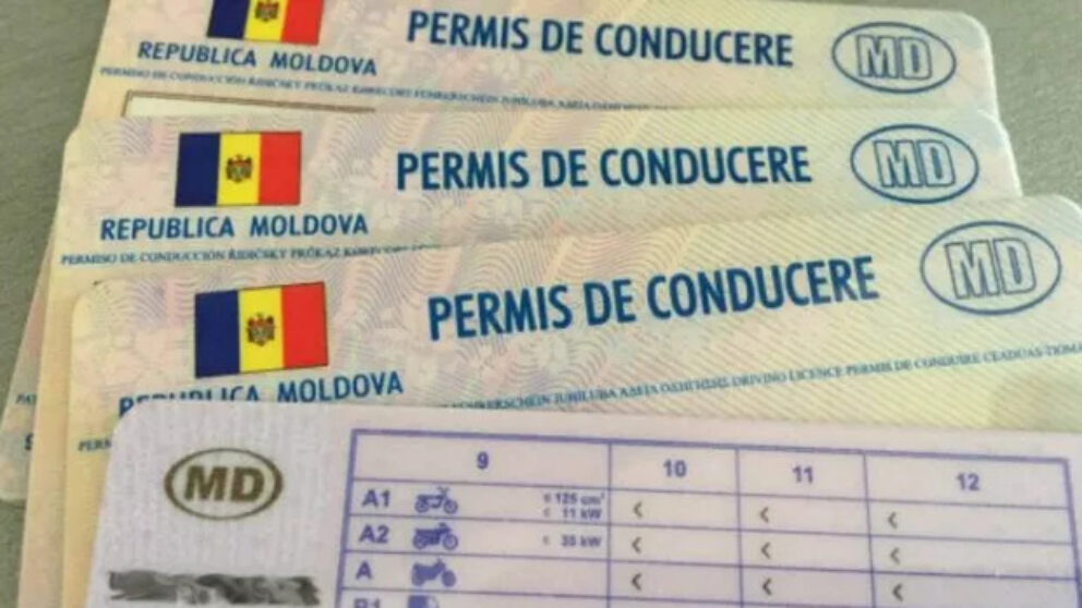permise de conducere