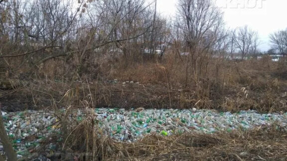 un râu înconjurat de sticle