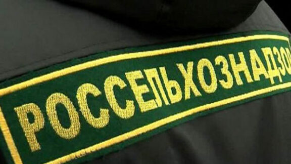 Rosselhoznadzor vine la Chișinău