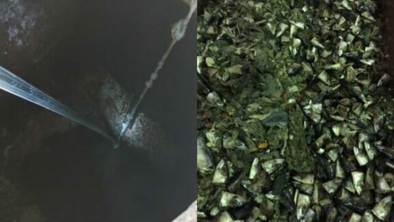 S.A. „Apă-Canal”