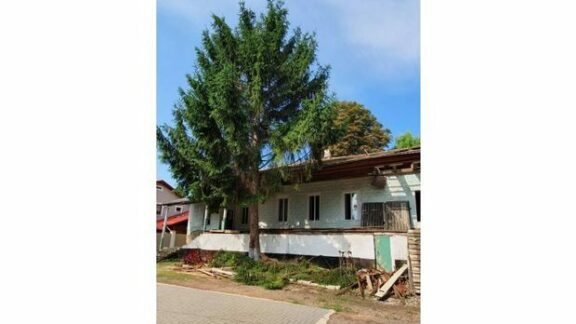 Sectorul Poliţiei de Frontieră Soroca