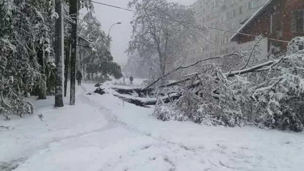 SITUAȚIE EXCEPȚIONALĂ în întreg Chișinăul! Sute de copaci și zeci de piloni prăbușiți în oraș