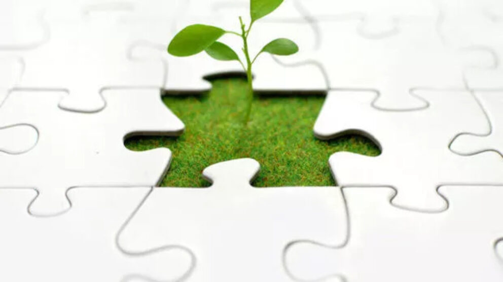 Social business