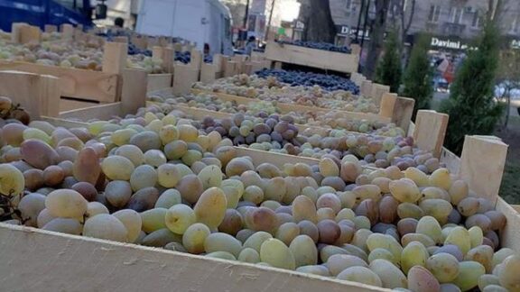 Sute de lăzi cu struguri