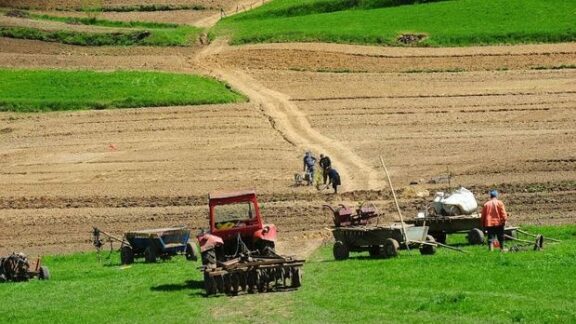 Terenuri agricole Dubăsari