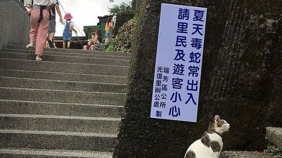 Un sat din nordul Taiwanului