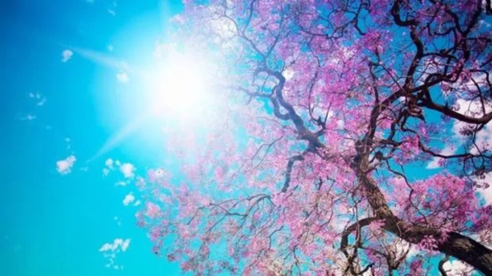 soare