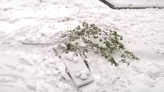 un bărbat acoperit de zăpadă și crengi