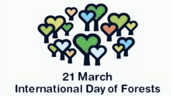 Ziua internationala a padurii 2017